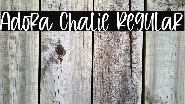 Adora Chalie Regular Example 3