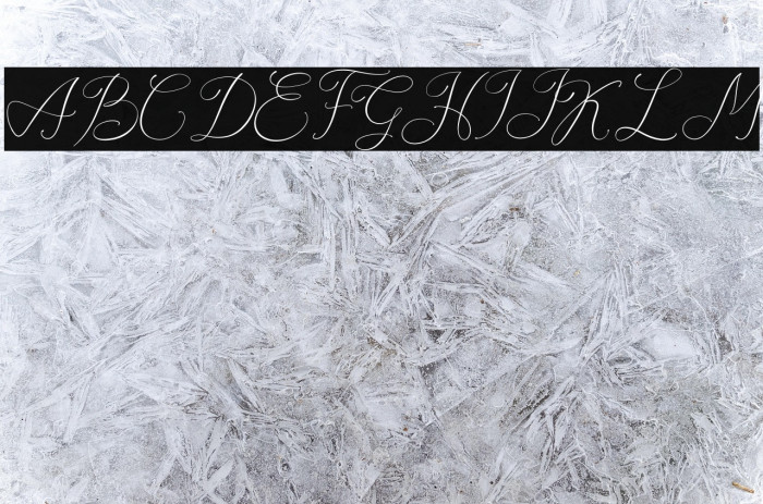 Adora Queen Personal Use Example 1