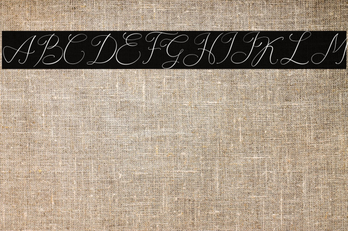 Adora Queen Personal Use Example 2