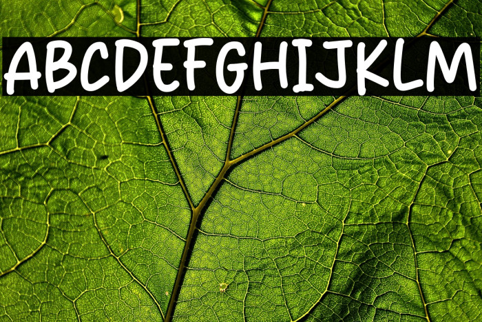 Adorable Mumble Example 2