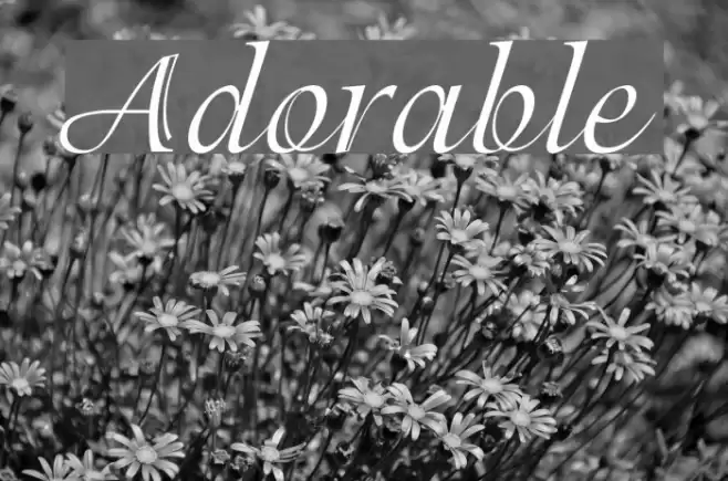 Adorable Font examples
