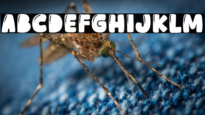 Adore Cats Example 2