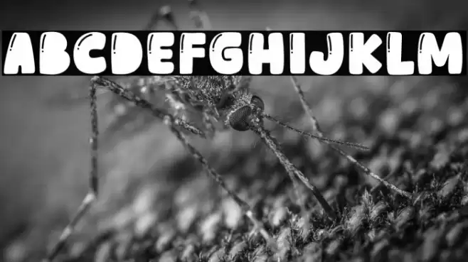 Adore Cats フォント examples