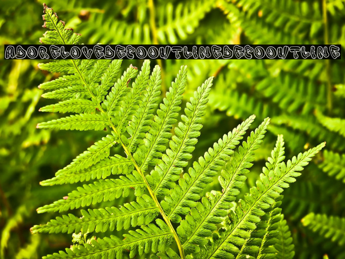 Adore Love DecoOutline DecoOutline Example 1