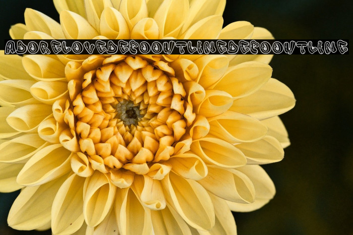 Adore Love DecoOutline DecoOutline Example 3