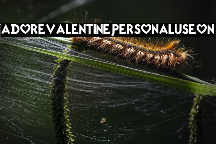 Adore Valentine PERSONAL USE ON Example 1