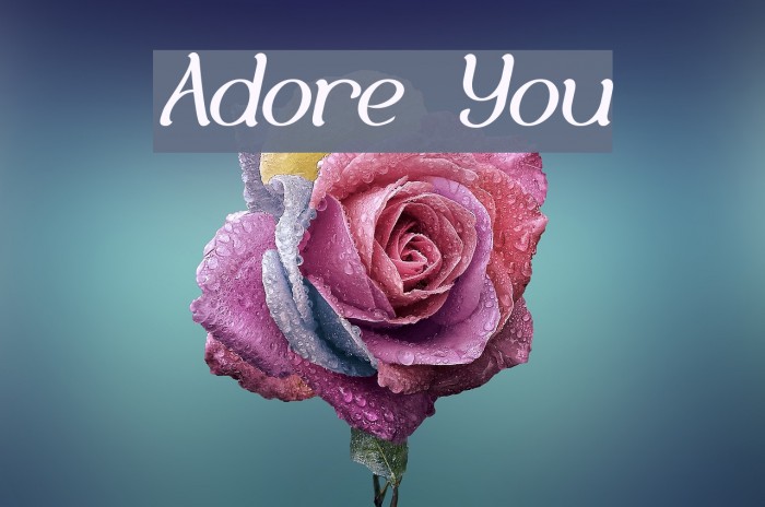 Adore You Font examples