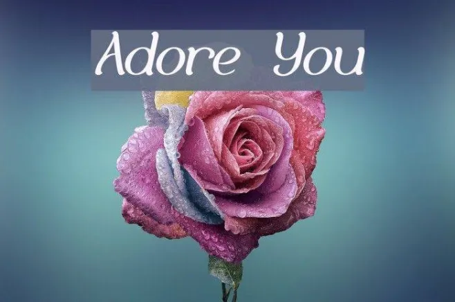 Adore You Example 2