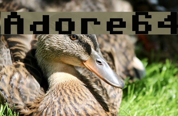 Adore64 Font examples