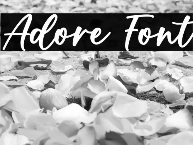 Adore Fonte examples