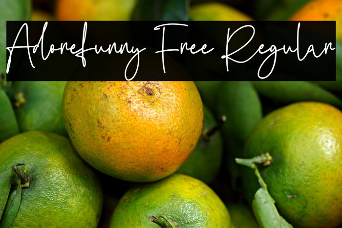 Adorefunny Free Regular Example 1