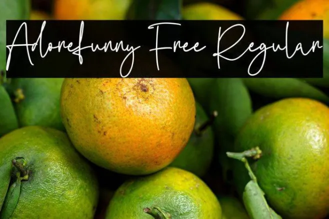 Adorefunny Free Regular Example 1