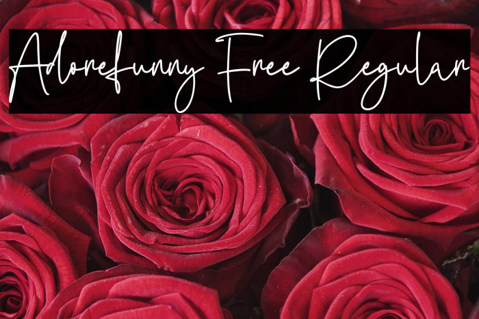 Adorefunny Free Regular Example 2