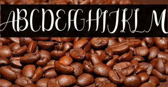 Adreena Script Demo Regular Example 2