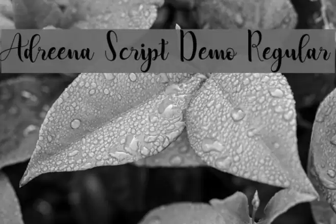 Adreena Script Demo Regular Font examples