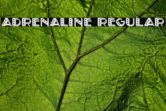 Adrenaline Regular Example 1