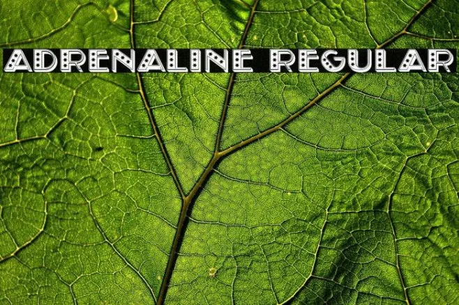 Adrenaline Regular Example 1