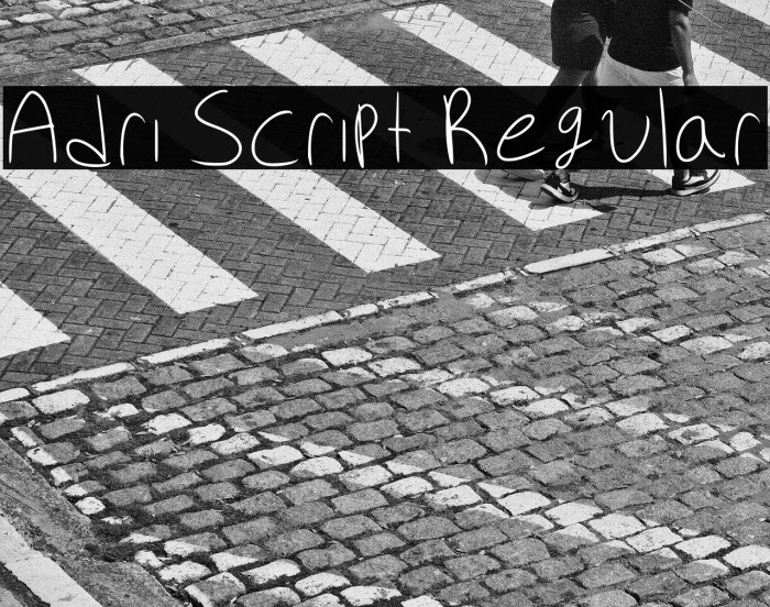 Adri Script Regular Example 1