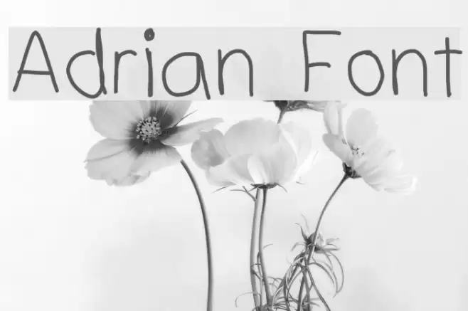 Adrian Font Font examples
