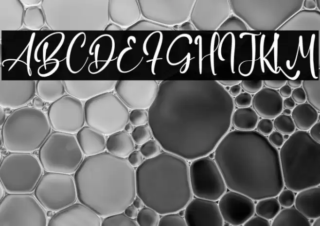 Adrian Martin Font examples