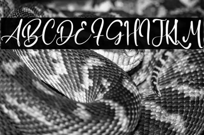 Adrian Martin Font examples