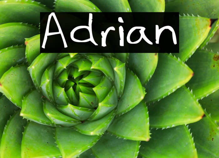 Adrian Example 2