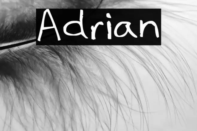 Adrian Fonte examples