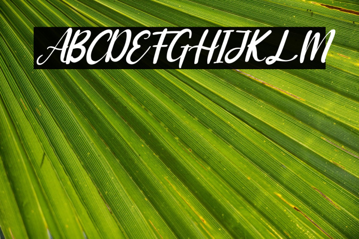 Adriana Italic Example 1