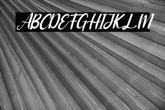 Adriana Italic Font examples