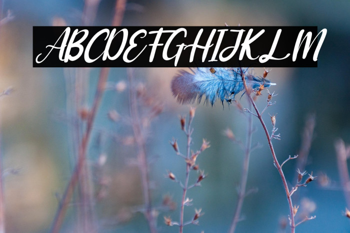 Adriana Italic Example 3