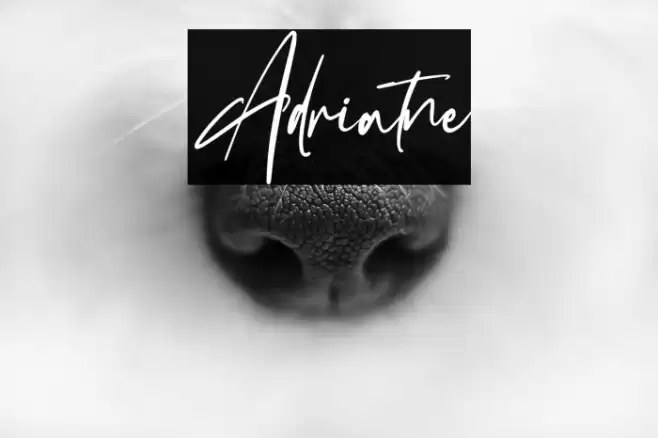 Adriatne Font examples