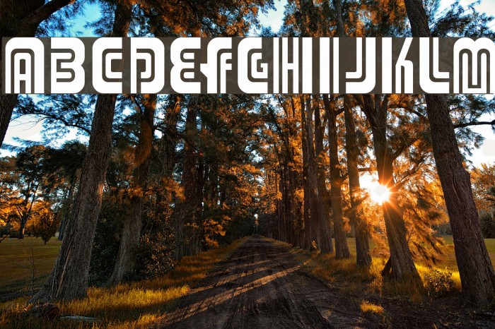 Adriator Шрифта examples