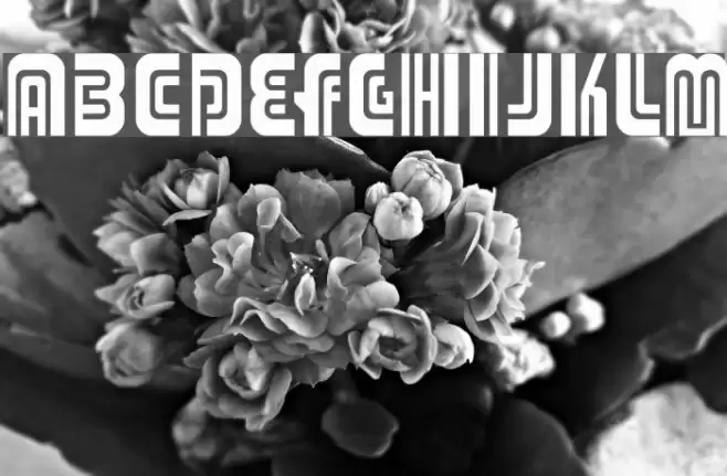 Adriator Font examples