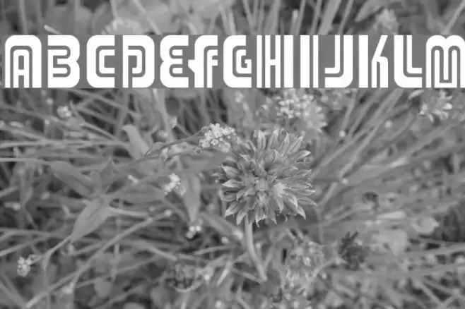 Adriator Font examples