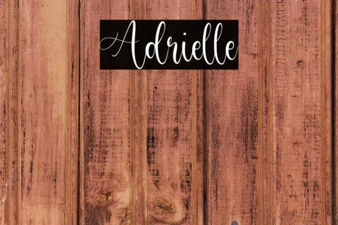 Adrielle Example 1