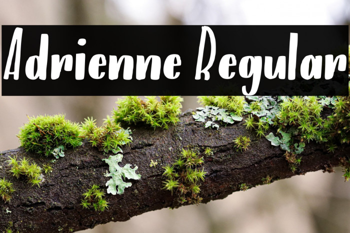 Adrienne Regular Example 1