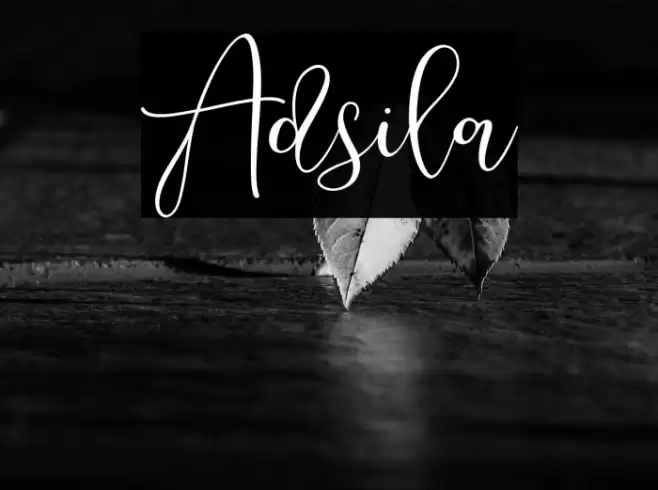 Adsila Font examples