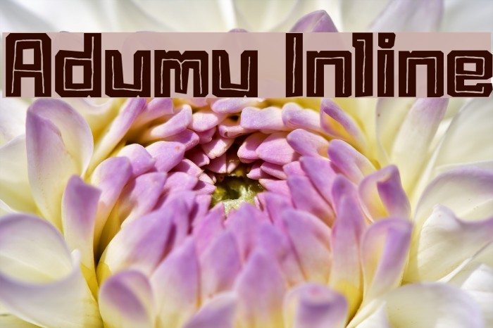 Adumu Inline Example 2