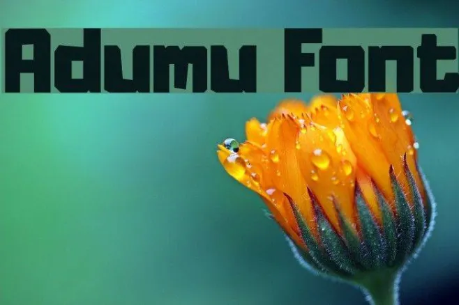 Adumu Example 2