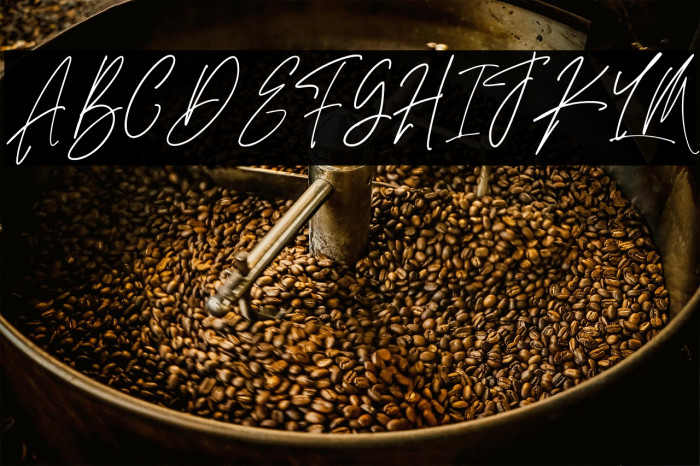 AdustineSignature-Regular Example 1