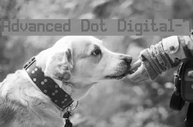 Advanced Dot Digital-7 Font examples