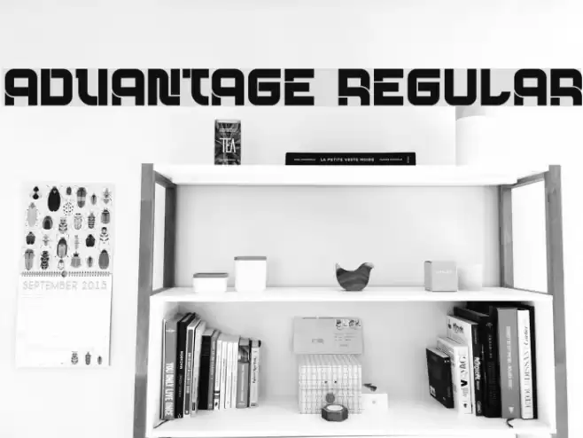 Advantage Regular Font examples