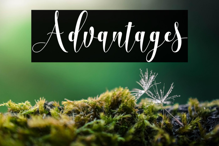 Advantages Example 1