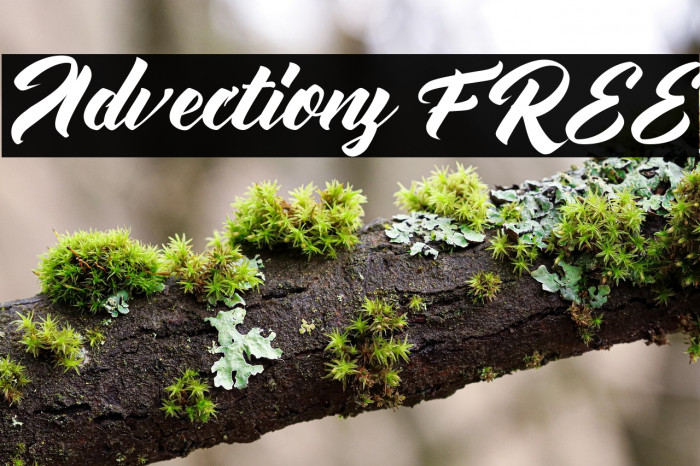 Advectionz FREE Example 2