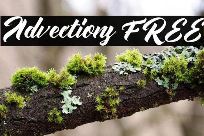 Advectionz FREE Example 2