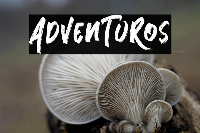 AdvenTuRos Example 1