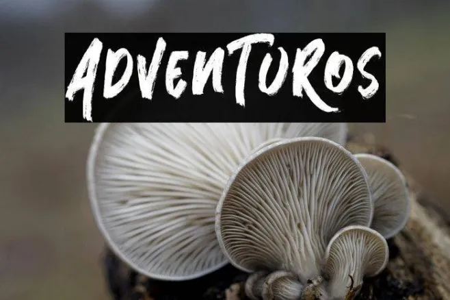 AdvenTuRos Example 1