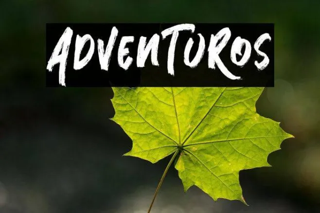 AdvenTuRos Example 2