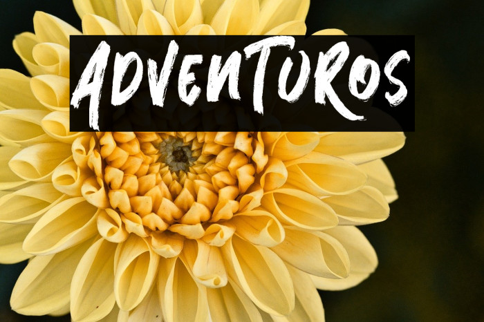 AdvenTuRos Example 3