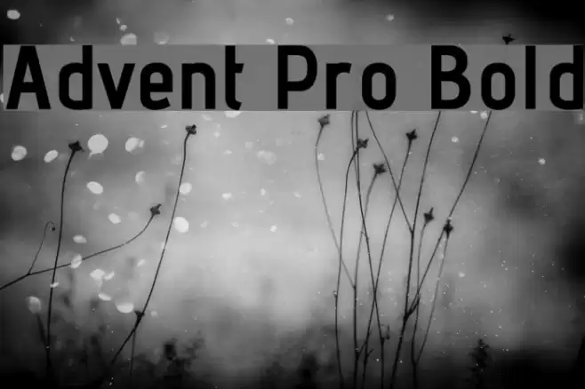 Advent Pro Bold Font examples